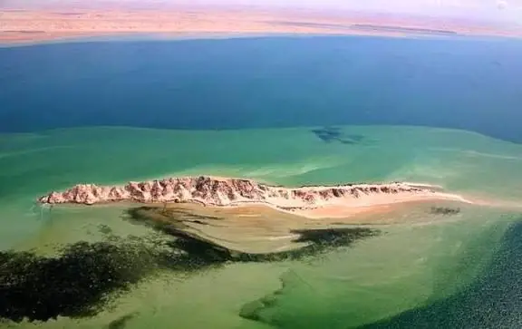 Île du Dragon à Dakhla
