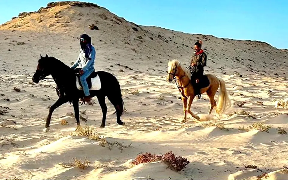 Balade à cheval : lagune, désert ou océan