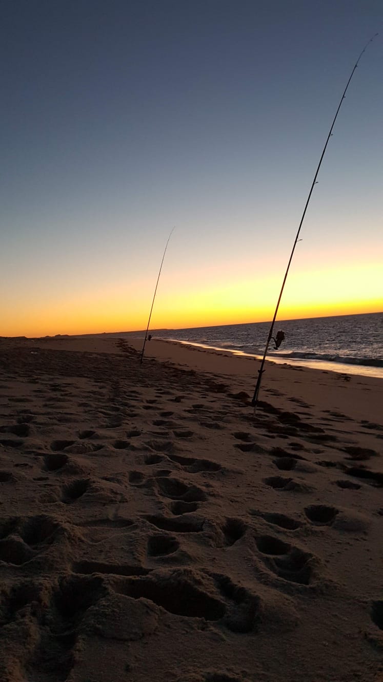Sortie pêche nuit à Dakhla en 4x4
